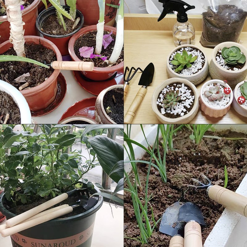 3 шт./1 компл. мини-набор садо – обзор и цена Gardening Tools Bundle