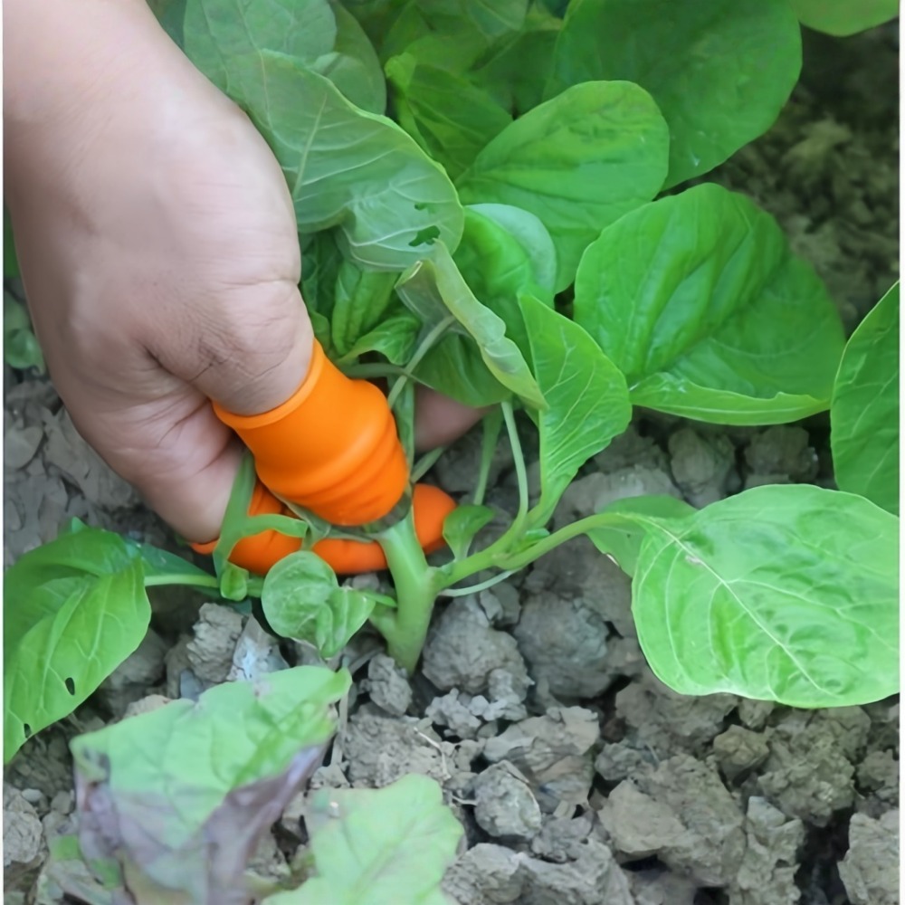 Нож для сбора овощей из нержав – обзор и цена Harvest Knife Garden